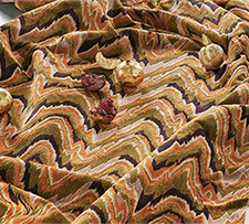 Watts 1874 Epingle Velvet