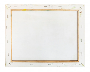 Artist Canvas