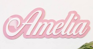 Laser-cut acrylic sign with precise edges.