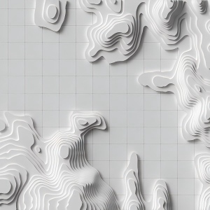 Laser cut  map.
