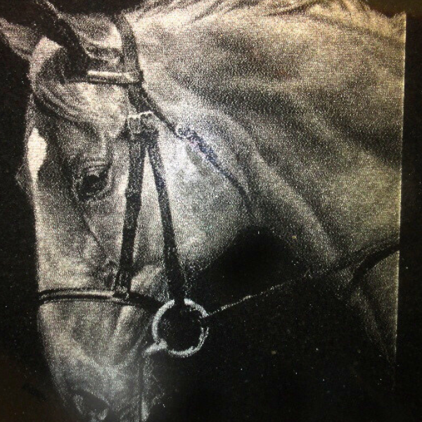 Laser Engraved Granite Horse