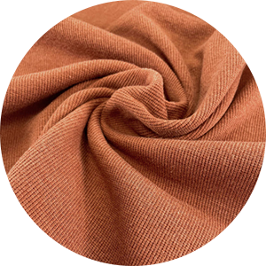 Lyocell Fabric Filters